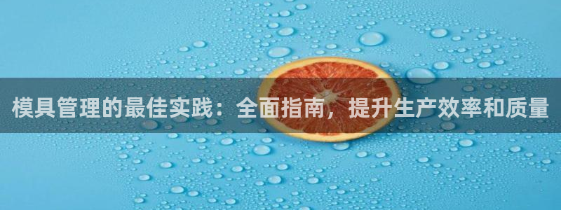 太阳成集团tyc234cc福利：模具管理的最佳实践：全面指南，提升生产效率和质量