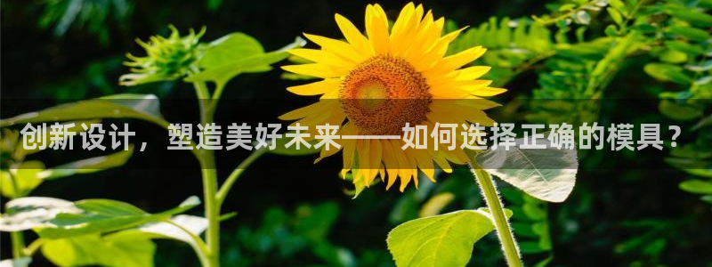 15vip太阳集团官网