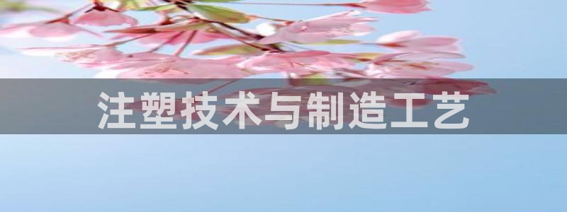 太阳游戏成语：注塑技术与制造工艺