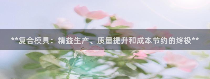太阳集团app十佳平台是什么：**复合模具：精益生产、质量提升和成本节约的终极**