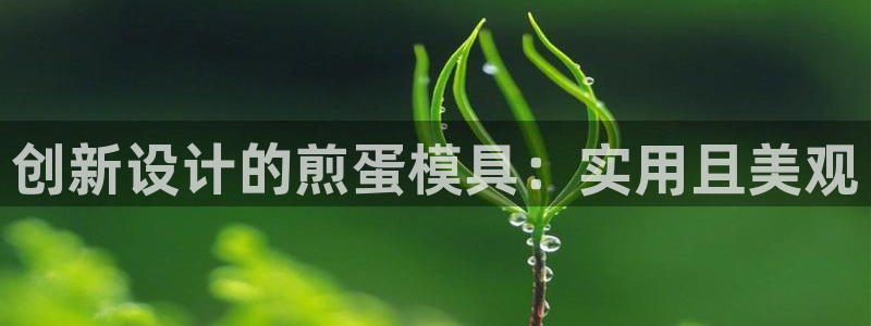 太阳集团城登录网址：创新设计的煎蛋模具：实用且美观