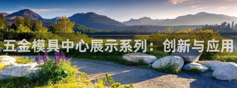 太阳成集团网址 app：五金模具中心展示系列：创新与应用