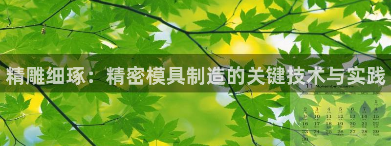 2138cn太阳集团古天乐·首页(欢迎您)：精雕细琢：精密模具制造的关键技术与实践