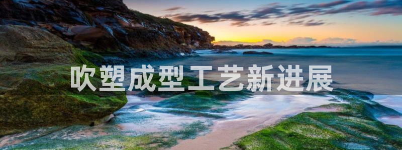 太阳成集团tyc7111cc下载手机版：吹塑成型工艺新进展