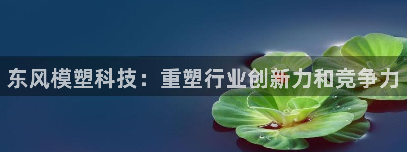 太阳集团高科技发展有限责任公司：东风模塑科技：重塑行业创新力和竞争力