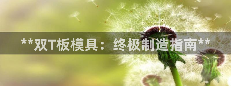 15vip太阳集团：**双T板模具：终极制造指南**