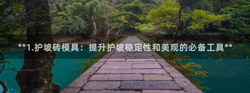 太阳控股集团：**1.护坡砖模具：提升护坡稳定性和美观的必备工具**
