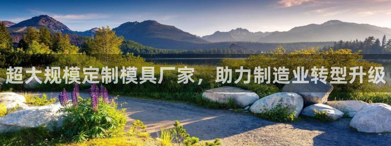 太阳集团是什么公司：超大规模定制模具厂家，助力制造业转型升级