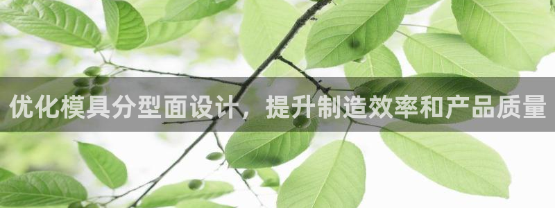 太阳诚集团是干什么的：优化模具分型面设计，提升制造效率和产品质量