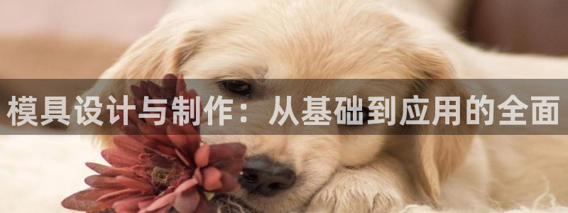 太阳集团城网址娱网：模具设计与制作：从基础到应用的全面