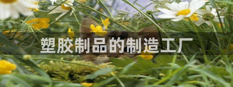 太阳成集团网站5：塑胶制品的制造工厂