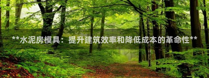 太阳成集团tyc1050：**水泥房模具：提升建筑效率和降低成本的革命性**