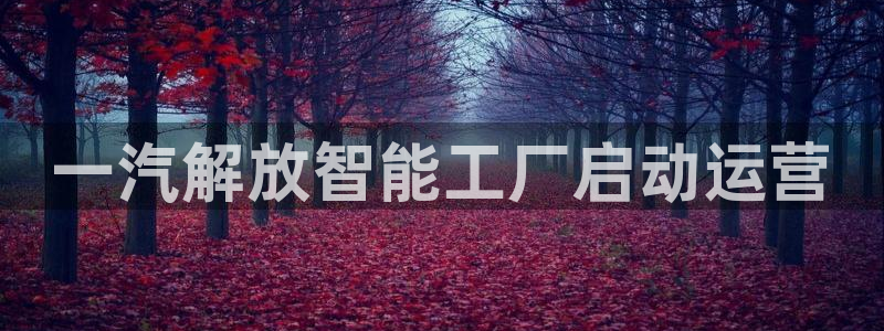 太阳gg平台地址：一汽解放智能工厂启动运营