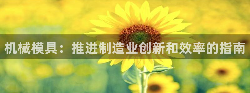 太阳集团董事长的儿子：机械模具：推进制造业创新和效率的指南