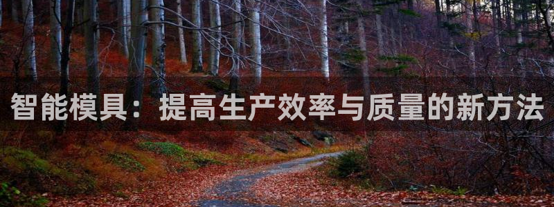 太阳集团公司董事长：智能模具：提高生产效率与质量的新方法