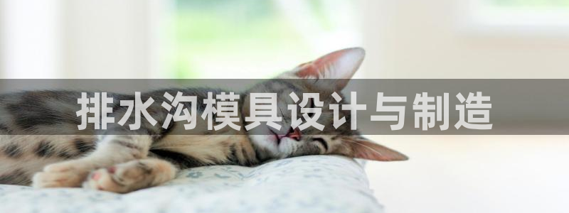 太阳集团游戏城旧版1382：排水沟模具设计与制造