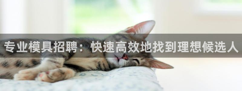 太阳集团唯一值得信赖网站是什么：专业模具招聘：快速高效地找到理想候选人