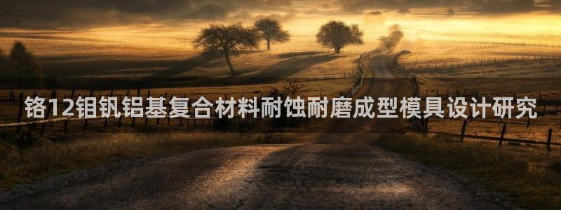 太阳集团高科技发展有限责任公司：铬12钼钒铝基复合材料耐蚀耐磨成型模具设计研究