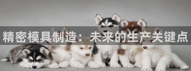 太阳诚集团下载：精密模具制造：未来的生产关键点