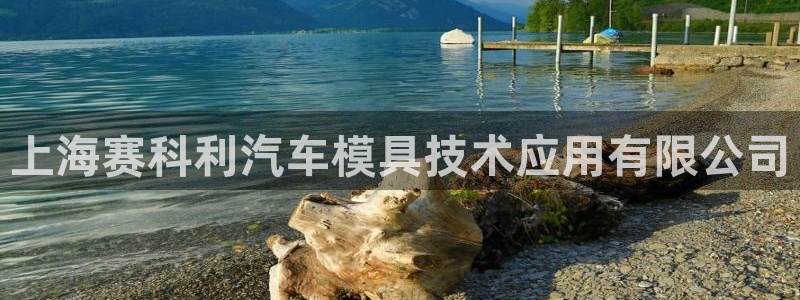 太阳集团网址：上海赛科利汽车模具技术应用有限公司