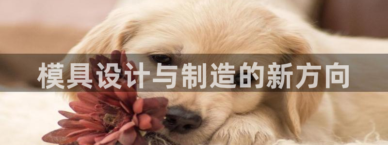 太阳成集团洗米华：模具设计与制造的新方向