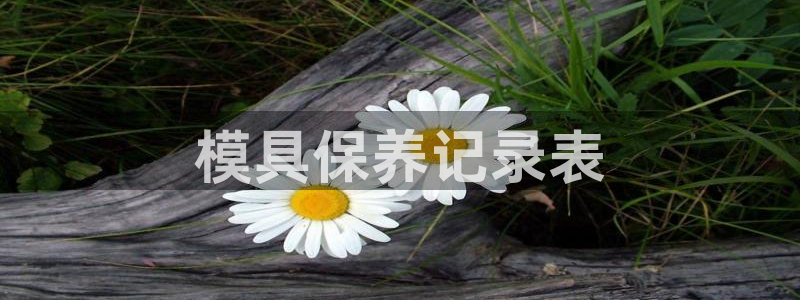 太阳集团总裁：模具保养记录表