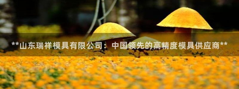 太阳集团游戏App：**山东瑞祥模具有限公司：中国领先的高精度模具供应商**