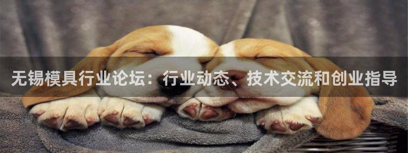 澳门太阳集团洗米华：无锡模具行业论坛：行业动态、技术交流和创业指导