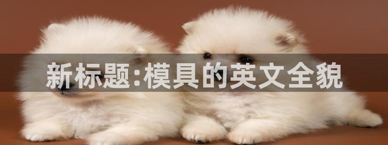 太阳gg注册登录：新标题:模具的英文全貌