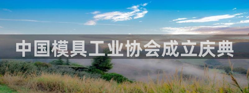 太阳集团娱乐网8722手机登录：中国模具工业协会成立庆典