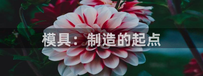 太阳集团城网