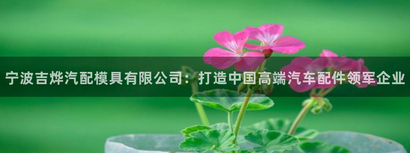 太阳集团tcy8722：宁波吉烨汽配模具有限公司：打造中国高端汽车配件领军企业
