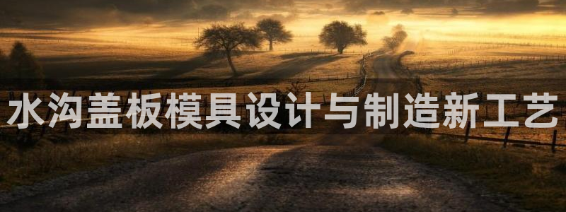 澳门太阳集团洗米华：水沟盖板模具设计与制造新工艺