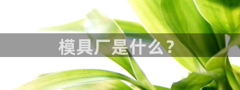 太阳gg平台注册：模具厂是什么？
