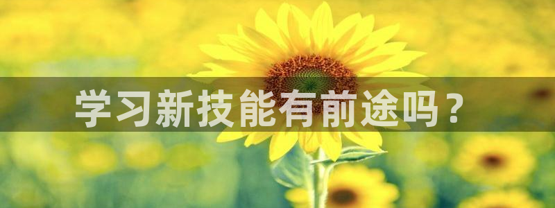 太阳集团下载链接app：学习新技能有前途吗？
