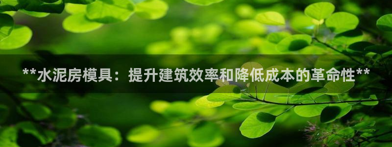 太阳老板是谁：**水泥房模具：提升建筑效率和降低成本的革命性**