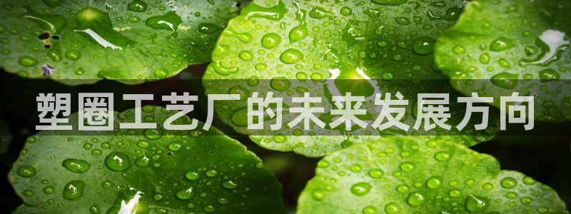 太阳集团是什么公司旗下的：塑圈工艺厂的未来发展方向