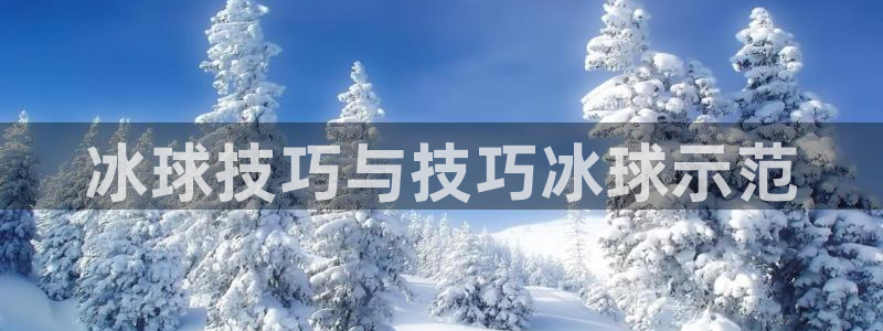 太阳集团的老总是谁：冰球技巧与技巧冰球示范