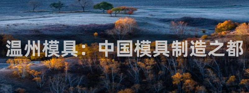 太阳成集团tyc122ccvlp：温州模具：中国模具制造之都