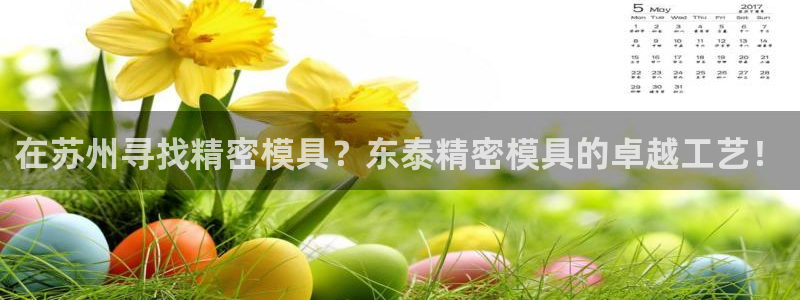 太阳控股集团有限公司董事长：在苏州寻找精密模具？东泰精密模具的卓越工艺！