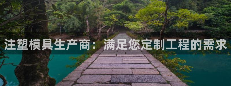 太阳gg官方网站：注塑模具生产商：满足您定制工程的需求