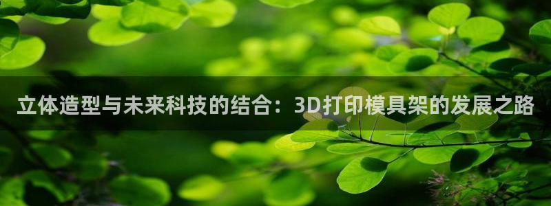太阳app网页版：立体造型与未来科技的结合：3D打印模具架的发展之路
