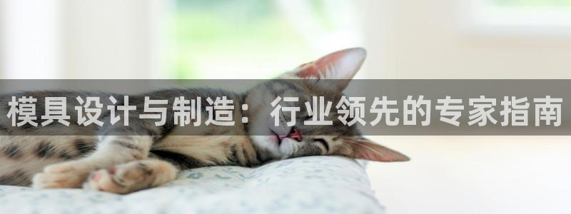 太阳集团是什么：模具设计与制造：行业领先的专家指南