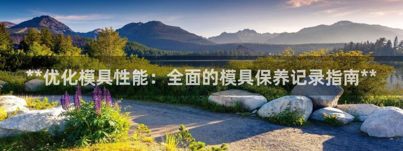 太阳集团所有网址168：**优化模具性能：全面的模具保养记录指南**