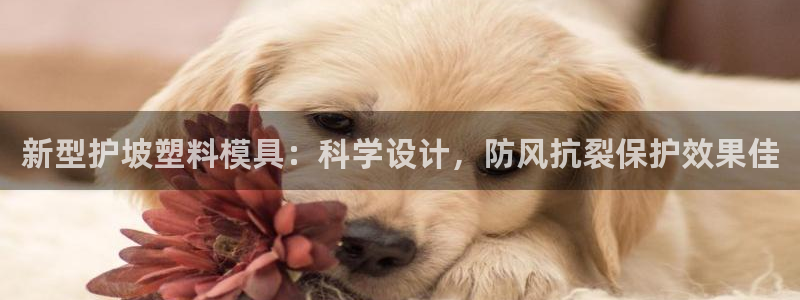 太阳成集团tyc234cc主页网站：新型护坡塑料模具：科学设计，防风抗裂保护效果佳