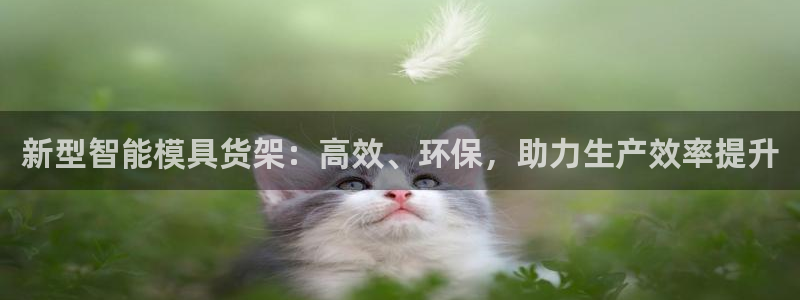 太阳gg是真的吗：新型智能模具货架：高效、环保，助力生产效率提升