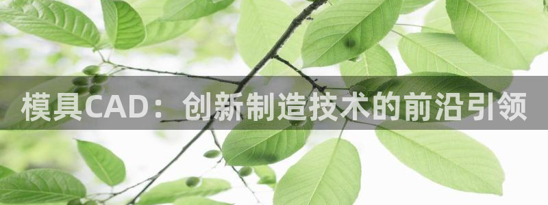 太阳gg娱选_2o5o26：模具CAD：创新制造技术的前沿引领