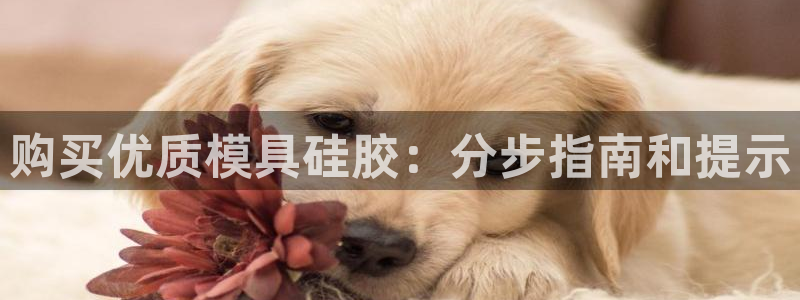 太阳集团旗下品牌：购买优质模具硅胶：分步指南和提示