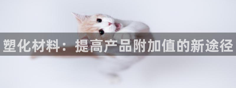 太阳集团城登录网址：塑化材料：提高产品附加值的新途径