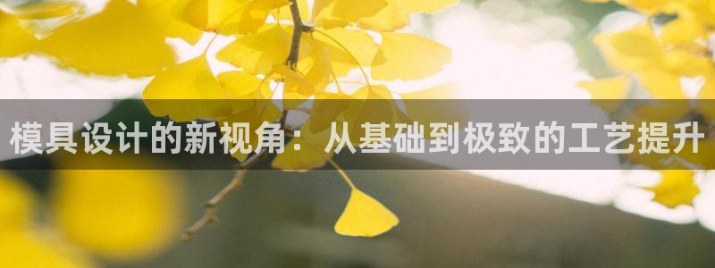 太阳gg登录：模具设计的新视角：从基础到极致的工艺提升